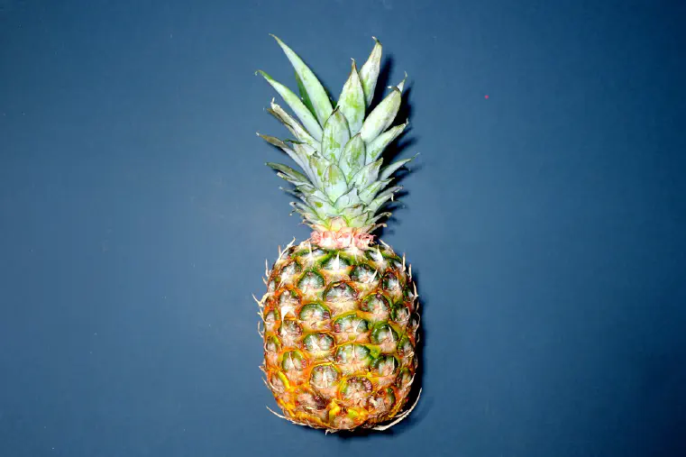 is Pineapple Good for Pregnant Women